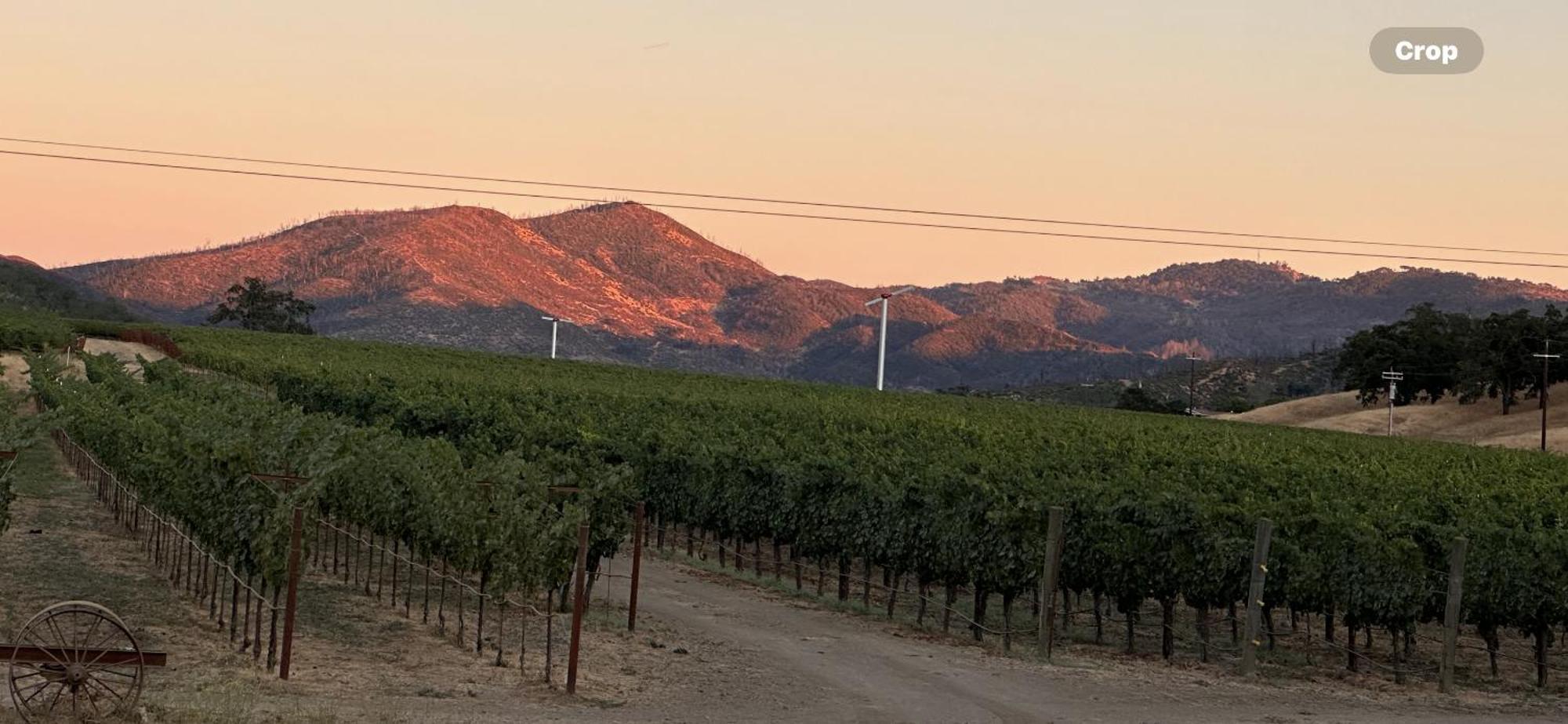 Bed and Breakfast Rustridge Ranch & Winery St. Helena Exterior foto