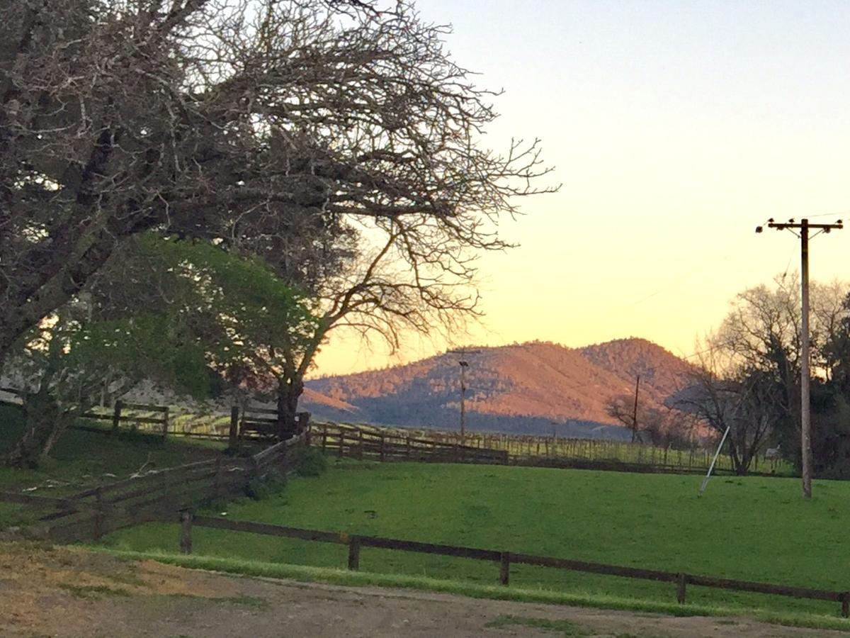 Bed and Breakfast Rustridge Ranch & Winery St. Helena Exterior foto