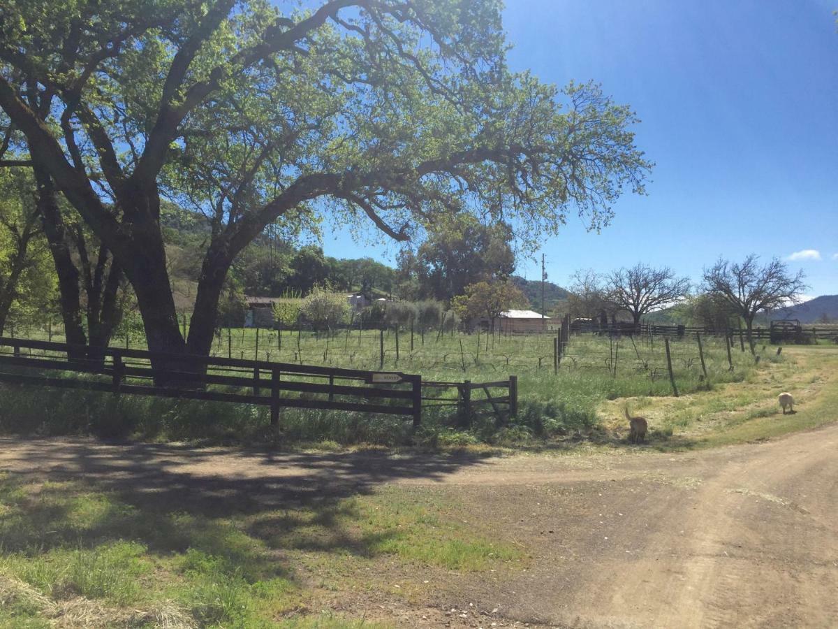 Bed and Breakfast Rustridge Ranch & Winery St. Helena Exterior foto