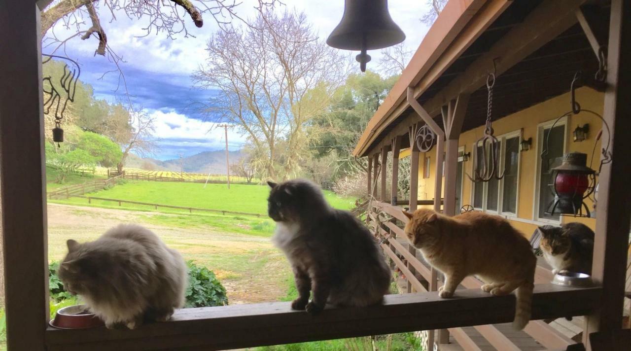 Bed and Breakfast Rustridge Ranch & Winery St. Helena Exterior foto