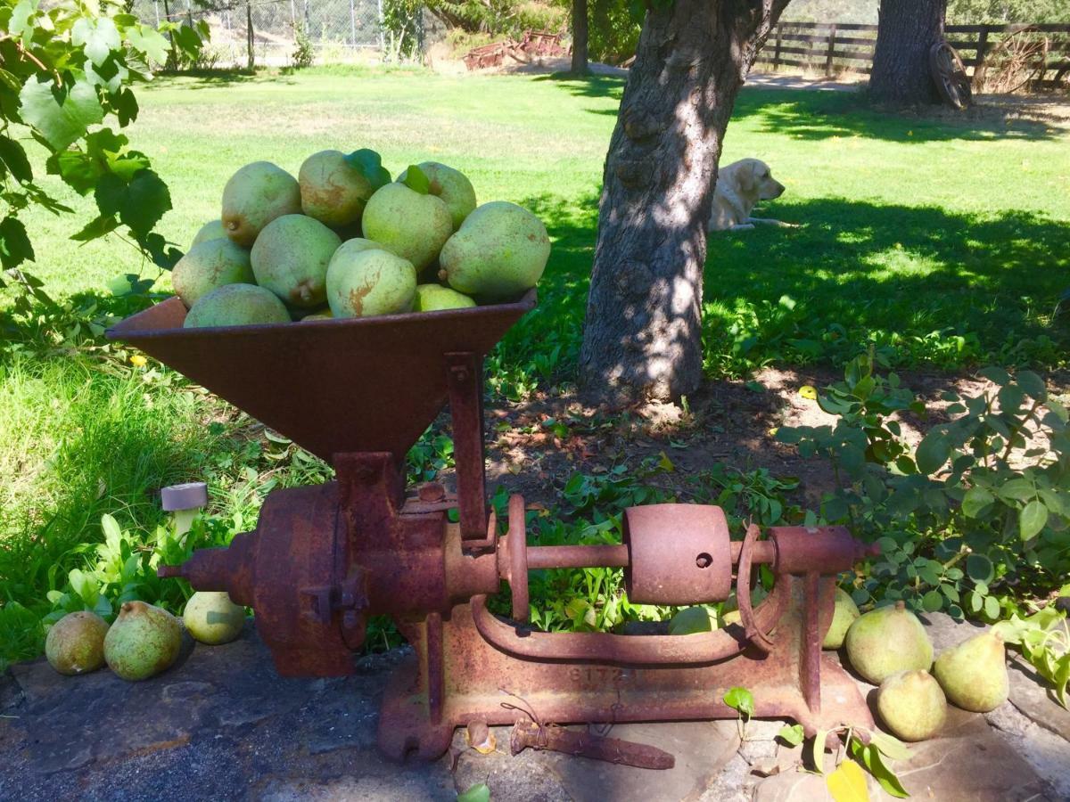 Bed and Breakfast Rustridge Ranch & Winery St. Helena Exterior foto